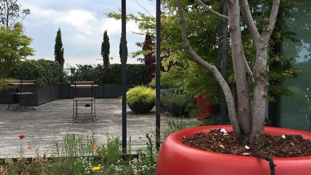 Dakterras met houten vlonder, rode ronde plantenbak met meerstammige boom en bistrostoeltjes — Daktuin, Gent
