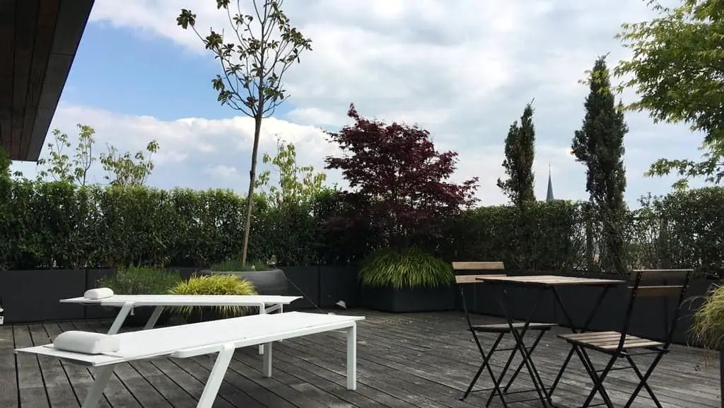 Dakterras met houten vlonder, witte tafel met banken, bakken met grassen en slanke coniferen — Daktuin, Gent