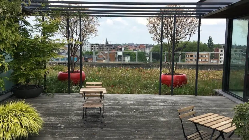 Dakterras onder zwarte stalen pergola met rode plantenbakken, bistroset en zicht over de stad — Daktuin, Gent
