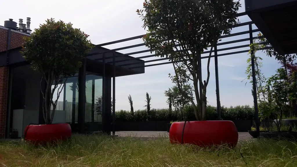 Rode ronde plantenbakken met bomen onder een zwarte stalen pergola, wilde grassen vooraan — Daktuin, Gent