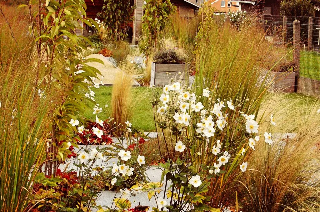 Border met wit bloeiende planten, siergrassen en houten plantenbakken — De kracht van beplanting, Itterbeek