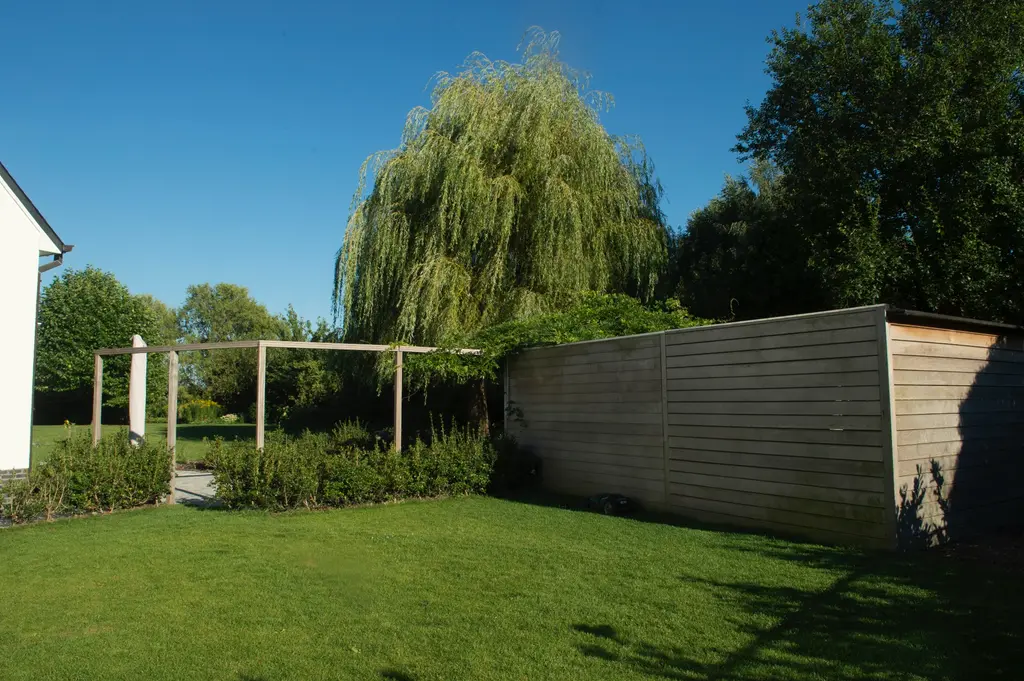 Gazon met houten pergola, houten scherm en treurwilg op de achtergrond — Elegante tuin met zwembad, Meise