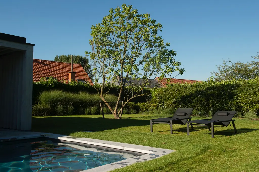 Zwembadhoek met natuurstenen rand, ligstoelen op het gazon en meerstammige boom — Elegante tuin met zwembad, Meise