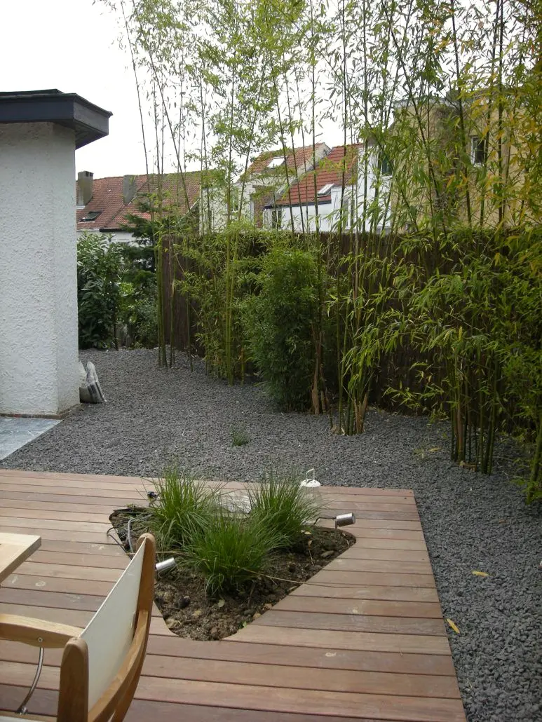 Houten vlonder met plantgat vol grassen, grind en bamboe langs de witte muur — Gezellige stadstuin, Ukkel