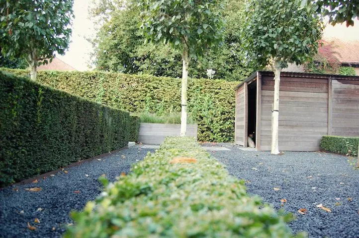 Lage geschoren haag in donker grind, bomen met witte stam en houten berging — Het lijnenspel, Meise