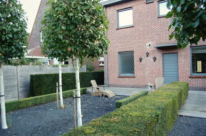 Lage hagen in donker grind, bomen met witte stam en houten stoelen bij de bakstenen woning — Het lijnenspel, Meise