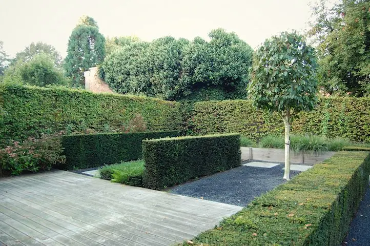 Houten terras met lage haagblokken, donker grind met lichte platen en boom met witte stam — Het lijnenspel, Meise