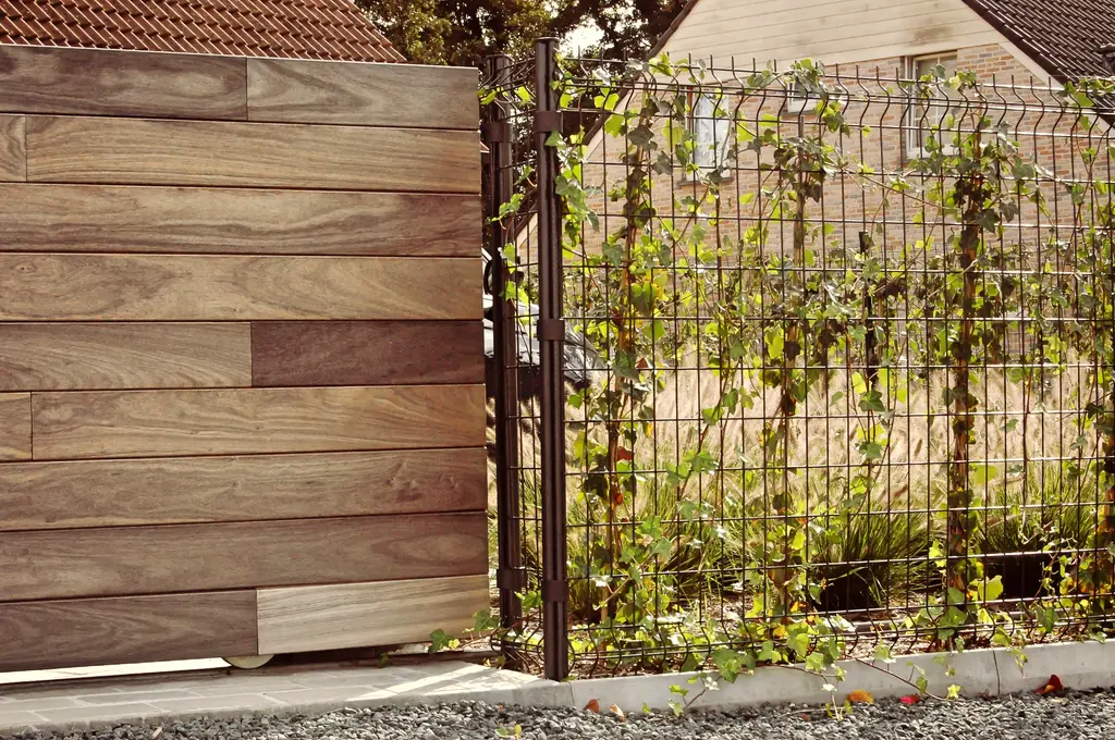 Houten poort naast draadafsluiting met jonge klimplanten langs een grindstrook — Klassieke voortuin