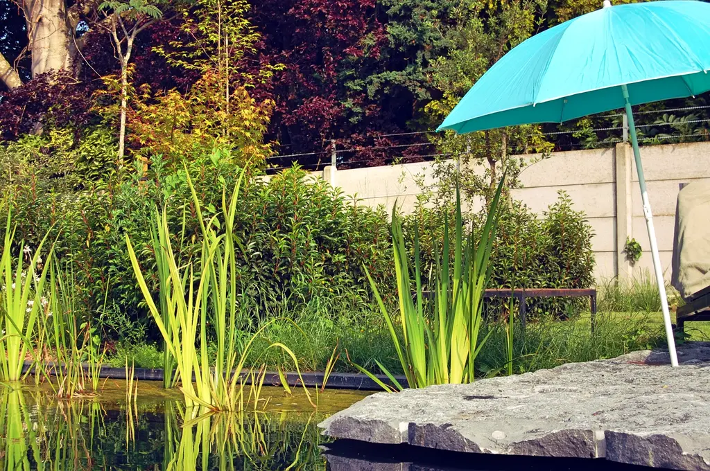 Ruwe stenen plaat aan de zwemvijver met waterplanten en turquoise parasol — Natuurlijke tuin met zwemvijver, Meise