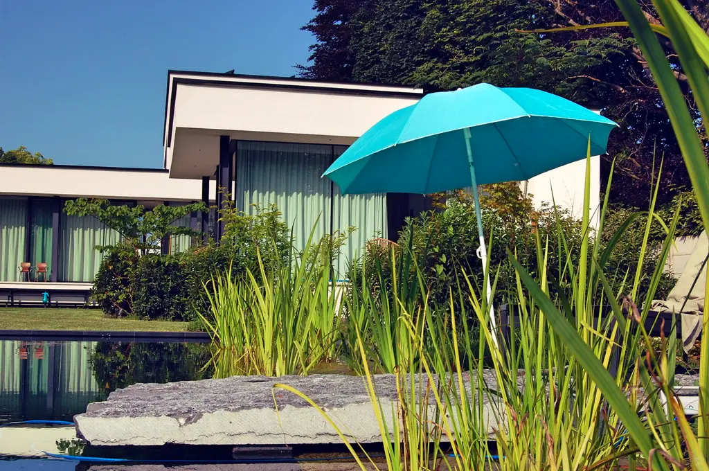 Waterplanten en stenen plaat aan de zwemvijver voor de moderne witte woning — Natuurlijke tuin met zwemvijver, Meise