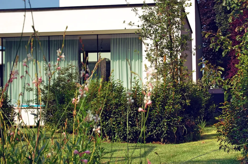 Wit bloeiende vaste planten en heesters voor de moderne woning met grote ramen — Natuurlijke tuin met zwemvijver, Meise