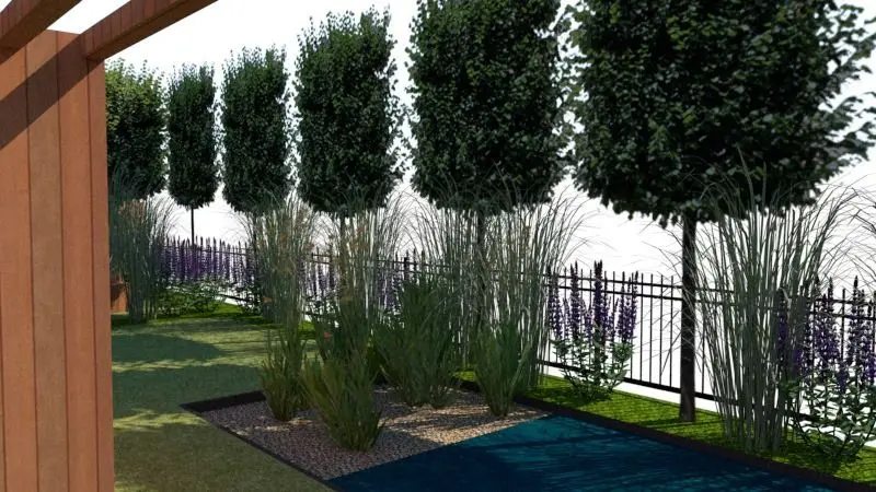 3D-ontwerp: leibomen achter zwart hek, siergrassen en zwemvijver — Romantische pleziertuin met zwemvijver, Vilvoorde