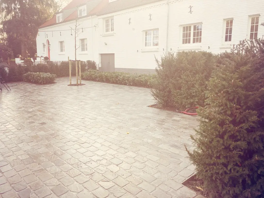 Voorplein van kasseien met geschoren coniferen en jonge boom voor de witte woning — Romantische tuin met zwembad, Asse