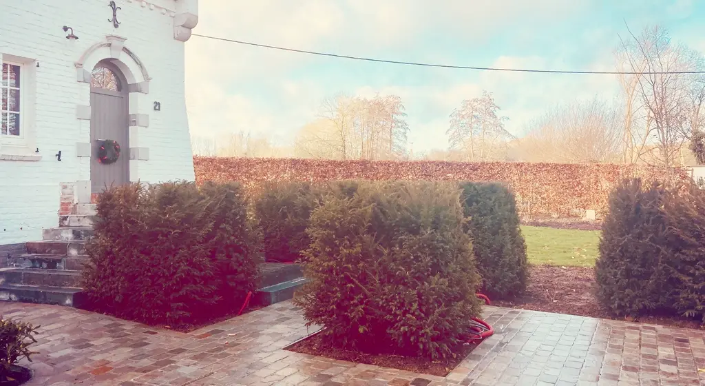 Voorplein van oude klinkers met vierkant geschoren coniferen bij de witte woning — Romantische tuin met zwembad, Asse