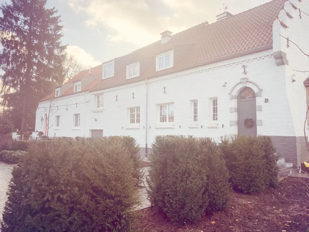 Lange witte woning met dakkapellen achter een rij geschoren coniferen — Romantische tuin met zwembad, Asse