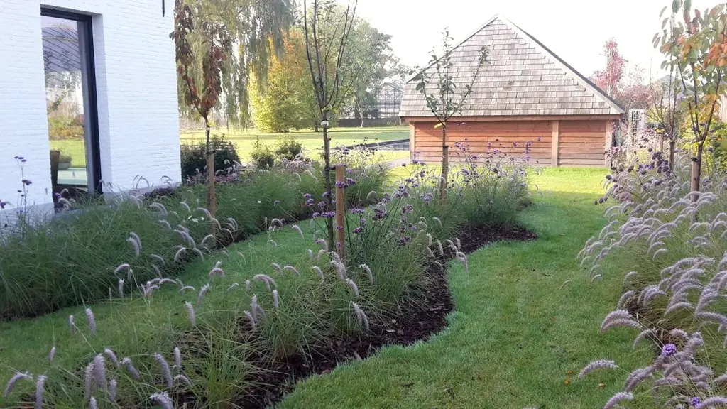 Gebogen border met siergrassen langs het gazon, houten bijgebouw achteraan — Sobere kwaliteit, Wolvertem