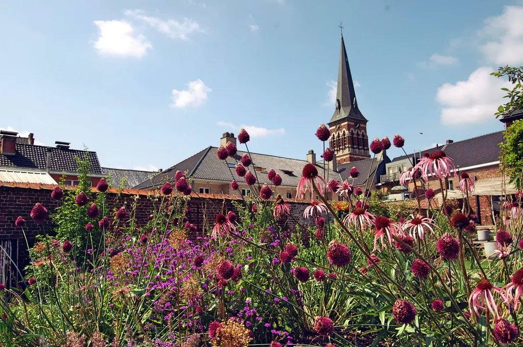 Bloeiende vaste planten voor de bakstenen tuinmuur met kerktoren op de achtergrond — Speelse taluds, Galmaarden