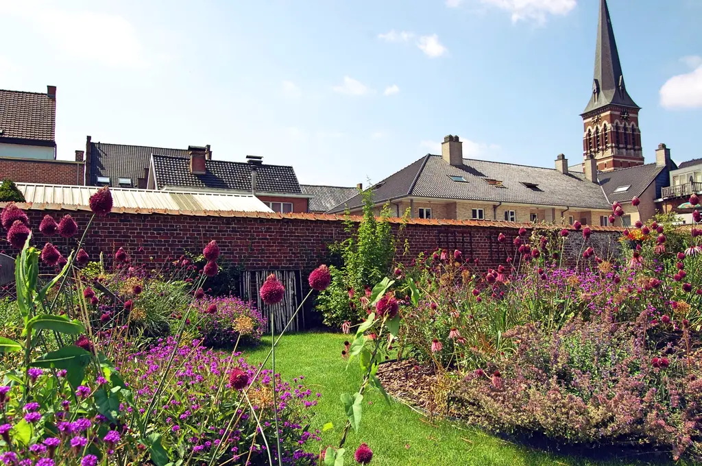 Paarse bloeiers op de voorgrond, gazon en bakstenen muur met kerktoren — Speelse taluds, Galmaarden