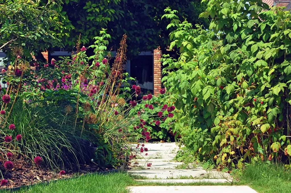 Stapstenen door het gazon tussen hoge beplanting en bloeiende vaste planten — Speelse taluds, Galmaarden