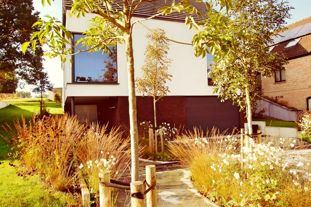 Siergrassen, wit bloeiende planten en meerstammige bomen voor de moderne woning — Sterk in zijn eenvoud, Dilbeek