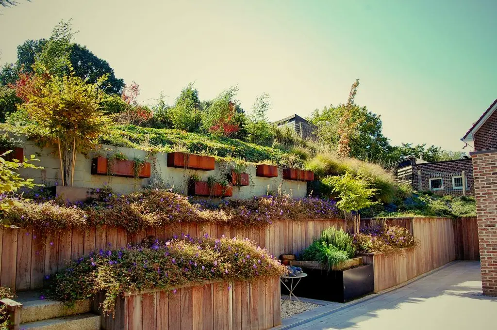 Getrapte houten keerwanden met beplanting en cortenstalen bakken aan de muur — Verticale tuin, Schepdaal
