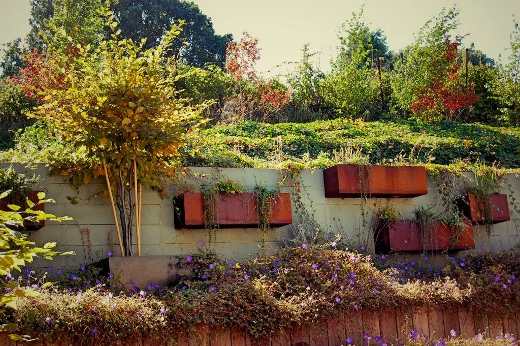 Cortenstalen wandbakken met hangende planten boven een houten keerwand — Verticale tuin, Schepdaal