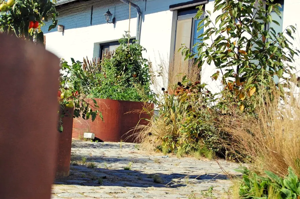Cortenstalen plantenbakken en siergras op kasseien voor de witte gevel — Wilde eetbare tuin, Sint-Pieters-Leeuw